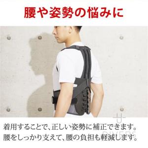 腰痛ベルト 骨盤ベルト 猫背矯正ベルト 背中と...の詳細画像1