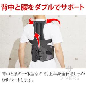腰痛ベルト 骨盤ベルト 猫背矯正ベルト 背中と...の詳細画像3