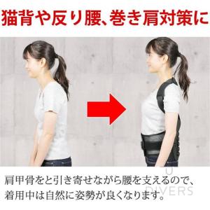 腰痛ベルト 骨盤ベルト 猫背矯正ベルト 背中と...の詳細画像4