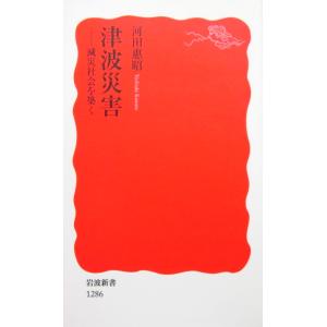 津波災害　河田 惠昭著（岩波新書）｜diversity8