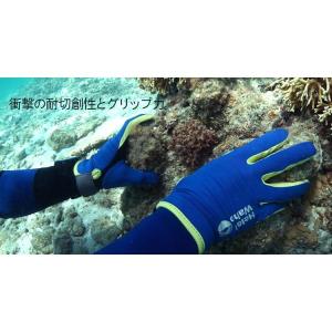 ダイビンググローブ 大人 子供 夏秋用 アマー...の詳細画像5