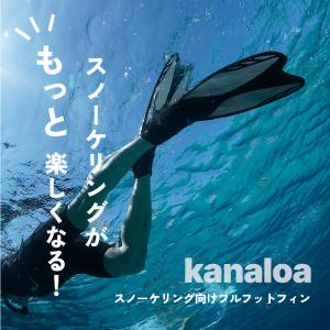 シュノーケリング スノーケリング スキンダイビ...の詳細画像1