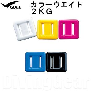 GULL(ガル)　GG-4691B COLOR WEIGHT カラーウエイト 2kg