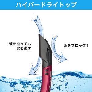ReefTourer(リーフツアラー) RC9...の詳細画像4