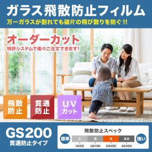 【オーダーカット】貫通防止フィルム GS200...の詳細画像1