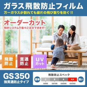 窓ガラス 準防犯用フィルム GS350 オーダ...の詳細画像1