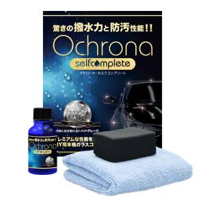 オクローナ メンテナンスキット シャンプー メンテ剤 DIY カー用品