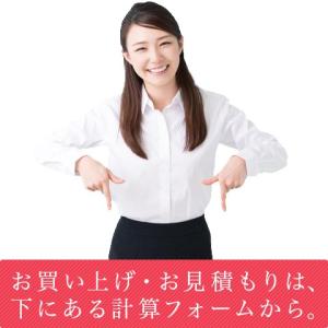 防犯フィルム 窓ガラス 窓 ガラス RIVEX...の詳細画像5