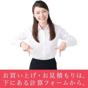 窓 断熱フィルム 窓ガラス フィルム 断熱 T...の詳細画像2
