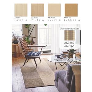 東リ 吸着タイルカーペット サイザル調 ナチュ...の詳細画像2