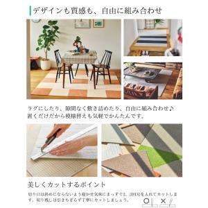 東リ 洗える 防炎 消臭 撥水 防汚 吸着タイ...の詳細画像4