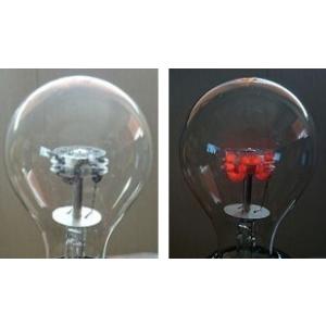 アサヒ ヒヨコ保温電球100Wの詳細画像1