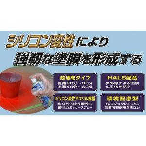 アサヒペン 高耐久ラッカースプレー ツヤ消し黒...の詳細画像3