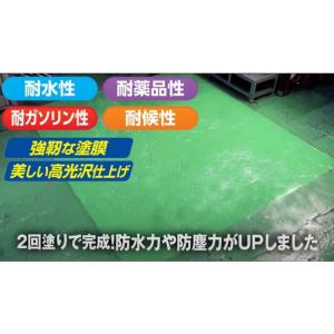 アサヒペン 水性2液型エポキシ強力防水塗料 ラ...の詳細画像5