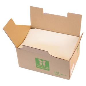 壽堂紙製品 カラー上質封筒角2 500枚 レモン 02313