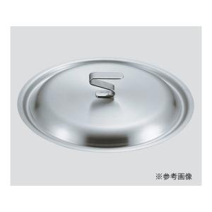 19cr ビストロ 鍋蓋 EBM 21cm