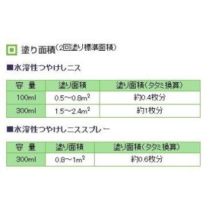 カンペハピオ 水溶性つやけしニスA(つや消し)...の詳細画像1