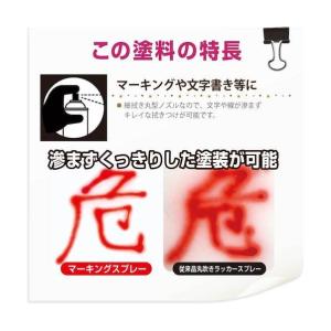 カンペハピオ マーキングスプレーK(つやあり)...の詳細画像2