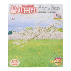 アイウッド 草刈日和チップソー 230X36P 1個の詳細画像4