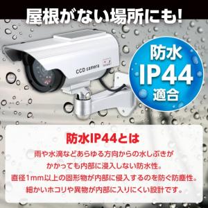 タミヤ（TAMIYA） タミヤ（89876）AO-8037 ギヤードモーター 540K300