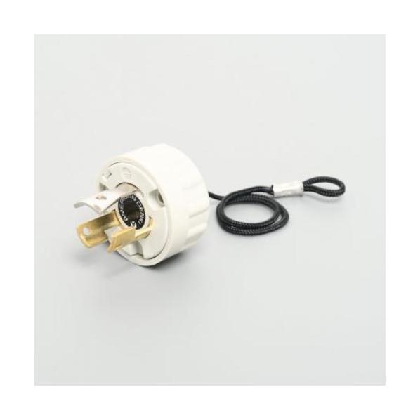 アメリカン電機 ブランクキャップ 15A 125V 接地形2P用 Z0201