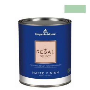ベンジャミンムーアペイント リーガルセレクトマット艶消しエコ水性塗料 douglas fern 1L Q221-563
