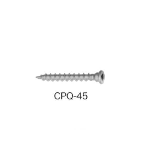 BXカネシン 四角ビス 80入り CPQ-45 1袋