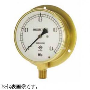 第一計器製作所 HNT汎用圧力計 BT3/8-100:0.3MPA