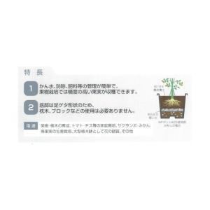 DICプラスチック DIC NPポット#25黒...の詳細画像1