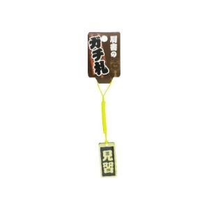 大五郎 肩書のガチ札 「見習」 ゴールド KT-8の商品画像