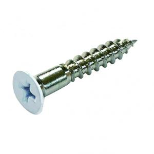 ダイドーハント 木ねじ 頭白 頭白 4.1mmx25mm 65774 ビス 造作 金物 金具 ホワイト 白塗装 固定 DIY SPF