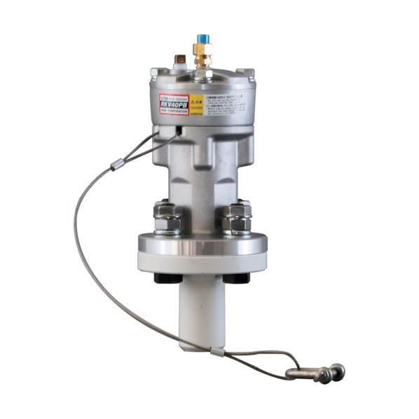 エクセン リレーノッカー バイブタイプ RKV40PB