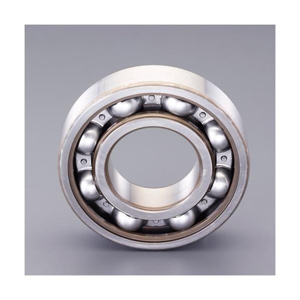 エスコ(esco) [6319Z×]深溝玉軸受 EA966EF-319 1個