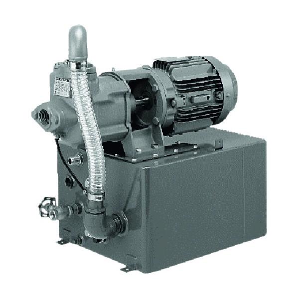 荏原製作所 NVD型 水封式 真空ポンプ 50Hz 口径20mm 20NVD5.4B