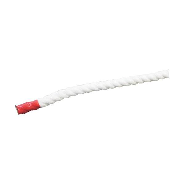 グリーンクロス クレモナSロープ 50m巻 10mm 6300023904