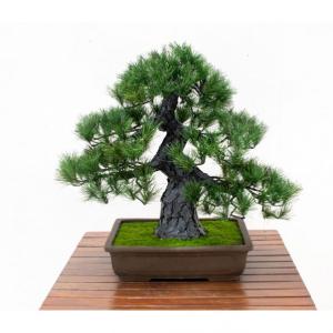 グリーンクロス 人工樹木/人工観葉植物 松盆栽 小 GO-518 6300073051 1個