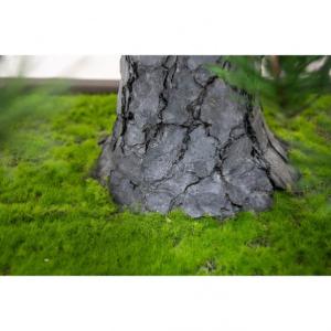 グリーンクロス 人工樹木/人工観葉植物 松盆栽...の詳細画像2