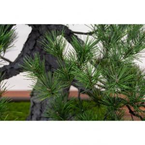グリーンクロス 人工樹木/人工観葉植物 松盆栽...の詳細画像3
