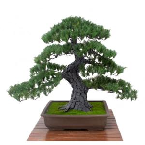 グリーンクロス 人工樹木/人工観葉植物 松盆栽 ...の商品画像