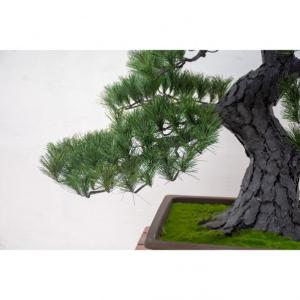 グリーンクロス 人工樹木/人工観葉植物 松盆栽...の詳細画像1