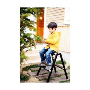 ※法人専用品※長谷川工業 踏み台 強力型 ブラ...の詳細画像3