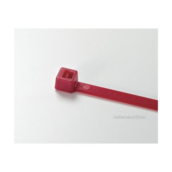 ヘラマンタイトン カラータイ 屋内使用(100本入) レッド 4.6×202mm T50RRED