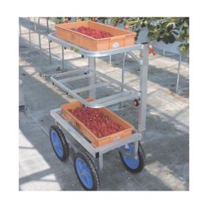 ※法人専用品※ハラックス 愛菜号運搬車いちご収...の詳細画像1