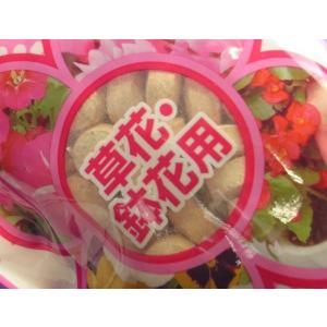 ハイポネックス プロミック草花・鉢花用350g...の詳細画像2
