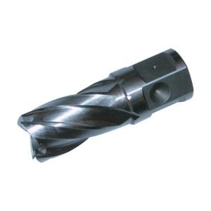 ※法人専用品※育良精機 大見25SQハイスカッター14．0mm
