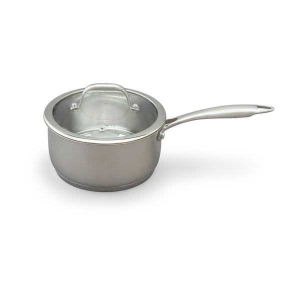 アイリスオーヤマ ステンレスシリーズ 片手なべ18cm ガラスふた付 SP-P18