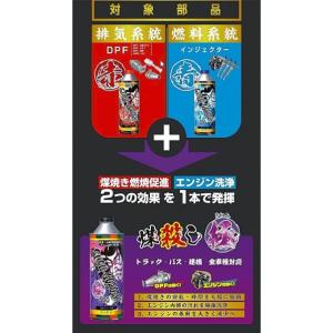 アイテムワン DPFドットコム 煤殺し 極 5...の詳細画像3