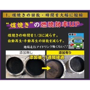 アイテムワン DPFドットコム 煤殺し 極 5...の詳細画像4