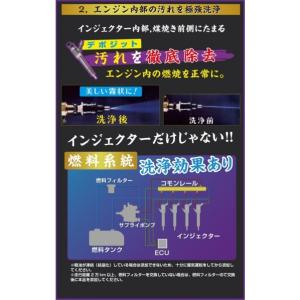 アイテムワン DPFドットコム 煤殺し 極 5...の詳細画像5