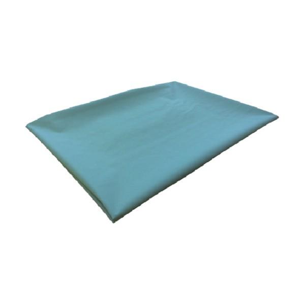 イノベックス カラーシート ワサビ 80JR367 1点